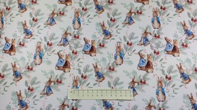 Fabric by the Metre - Peter Rabbit - Christmas Ferns